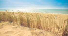 “Singende Dünen” auf Prince-Edward-Island 